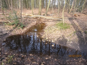 Wandeling Wijnegem 10-2-2013 071