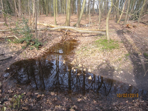 Wandeling Wijnegem 10-2-2013 071