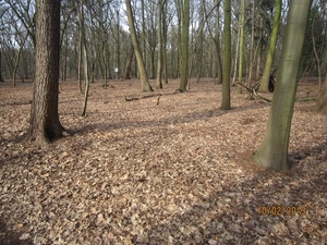 Wandeling Wijnegem 10-2-2013 072