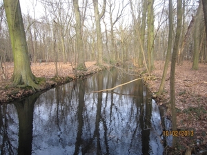 Wandeling Wijnegem 10-2-2013 073
