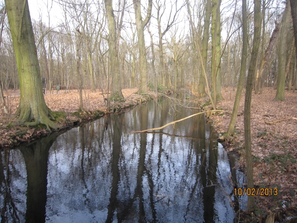 Wandeling Wijnegem 10-2-2013 073