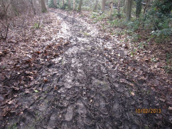 Wandeling Wijnegem 10-2-2013 075