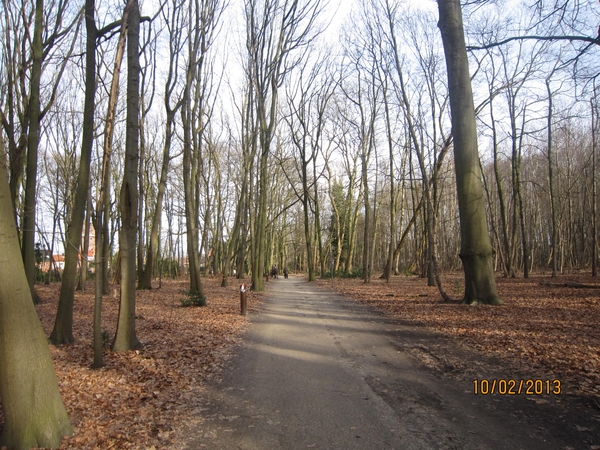 Wandeling Wijnegem 10-2-2013 078