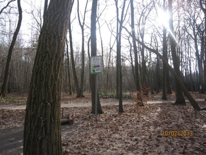 Wandeling Wijnegem 10-2-2013 080