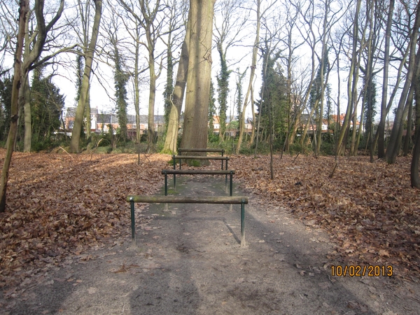 Wandeling Wijnegem 10-2-2013 082