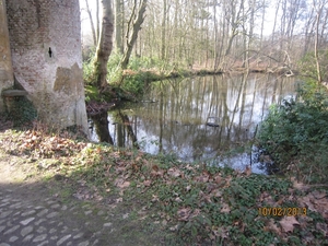 Wandeling Wijnegem 10-2-2013 099