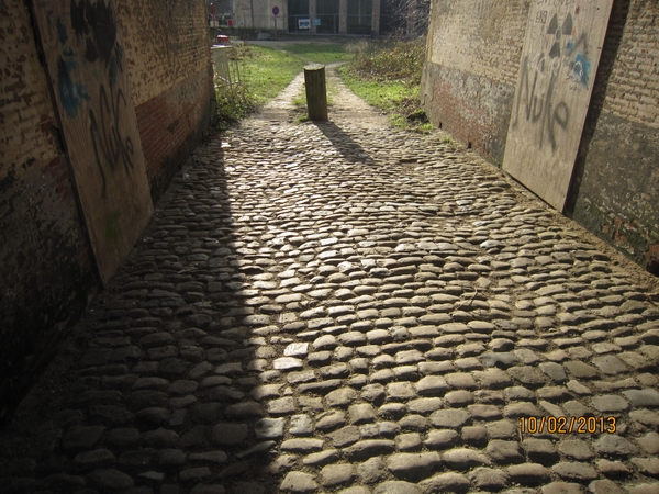 Wandeling Wijnegem 10-2-2013 100