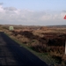 1987 Vlieland10