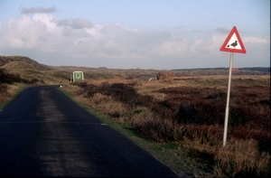 1987 Vlieland10