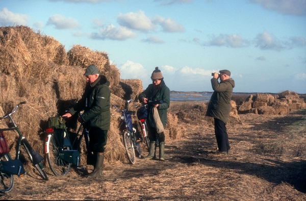 1987 Vlieland11