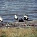 1987 Vlieland15