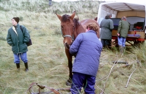 1992 Terschelling11