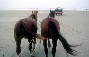 1992 Terschelling15