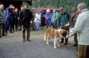 Eifel93_02