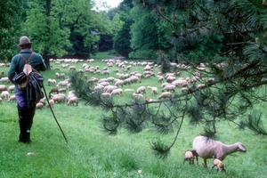1994  Hessich14