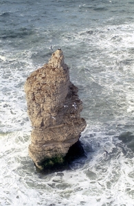 1996 Engeland08
