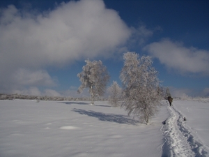 2013-02-09 KKT Hoge Venen (40)