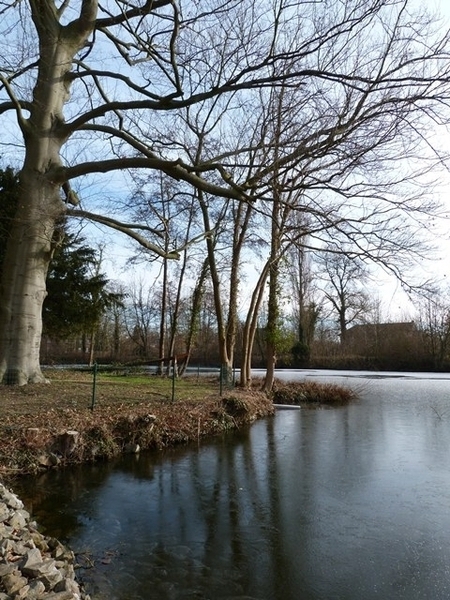 085-Vijvers in Mariadal