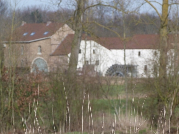 098-Celismolen in Hoegaarden