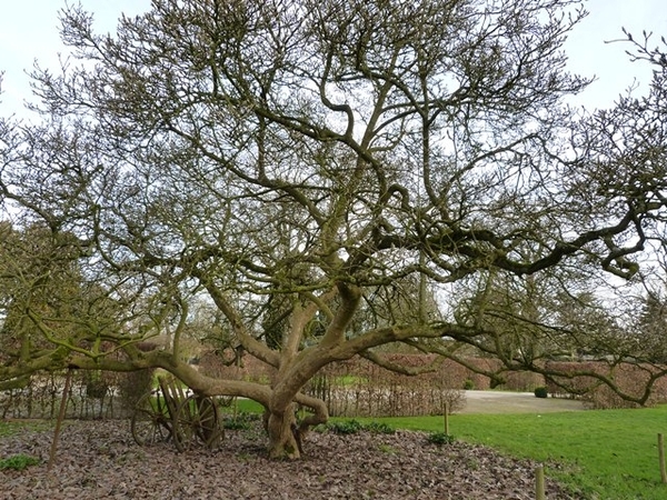 132-Tuinen Kapittelhuys