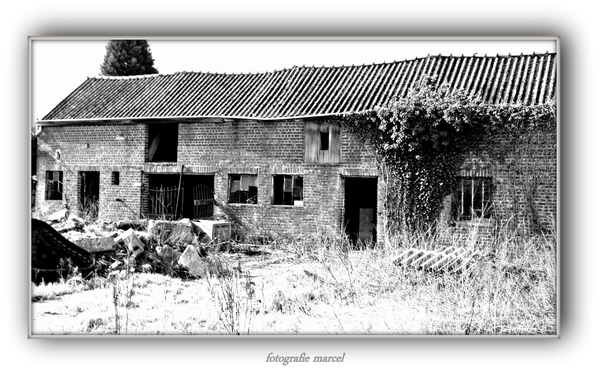 219010_472339152800376_1473565511_o