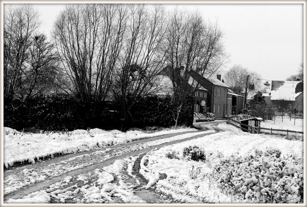 sneeuw landshap te pollare