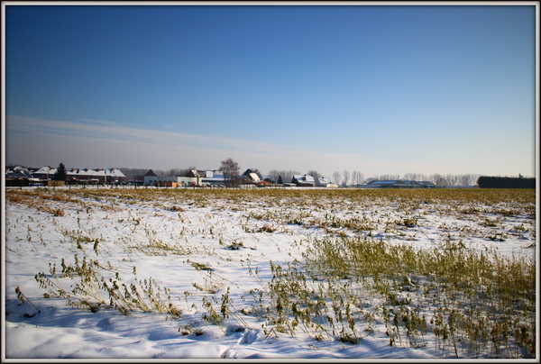 sneeuw landschap te meerbeke