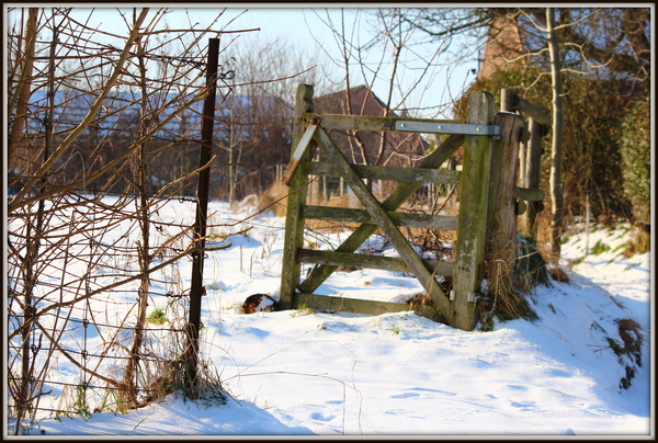 landschap te pollare