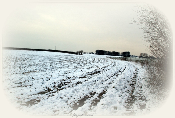 616977_523263237707967_2009317441_o