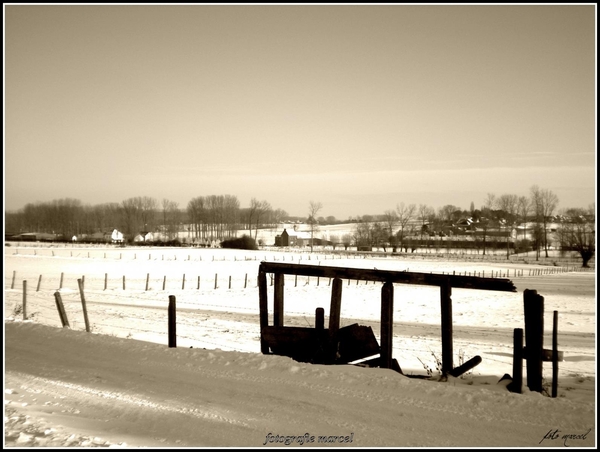 778854_534799876554303_2004696025_o