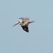 CSC_0579