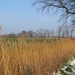 2013-02-12 Ruiseleden 007