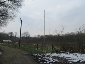 2013-02-12 Ruiseleden 012