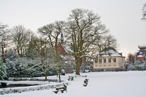 20130115_Sneeuw in het park_0024