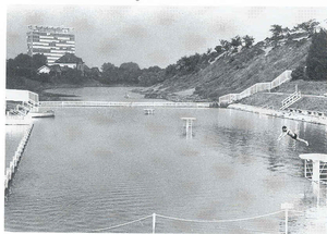 Vestingswater aan de Wezenberg zwemdok