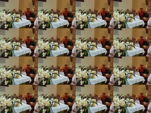 DSC04221