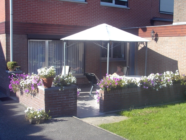 bloemen augustus 2007 006