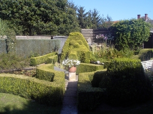 bloemen augustus 2007 007