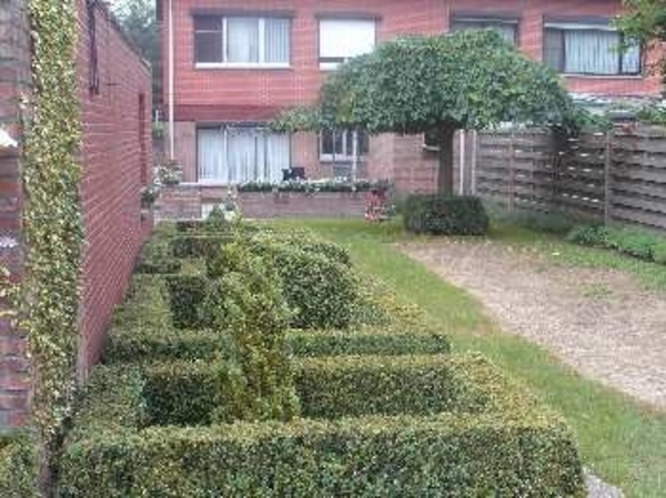 Herschaalde kopie van tuintje mei 2007 011