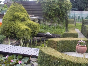 tuintje mei 2007 008