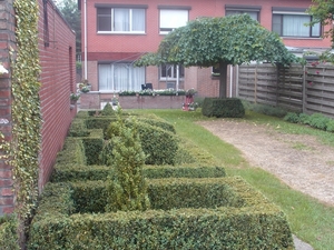 tuintje mei 2007 011