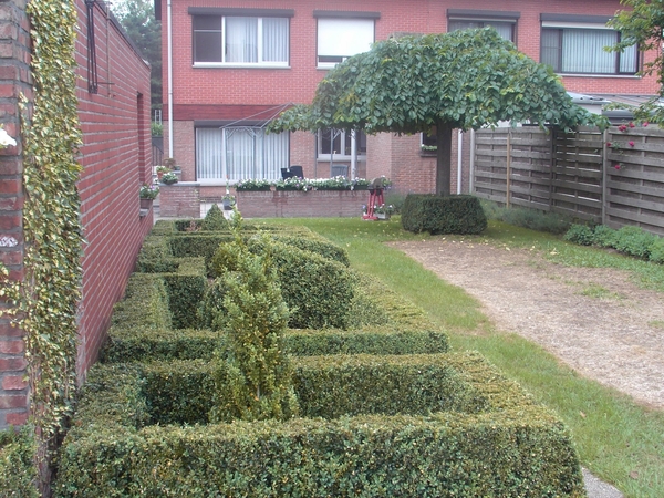 tuintje mei 2007 011