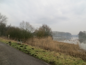 2013-02 16 Baasrode 003