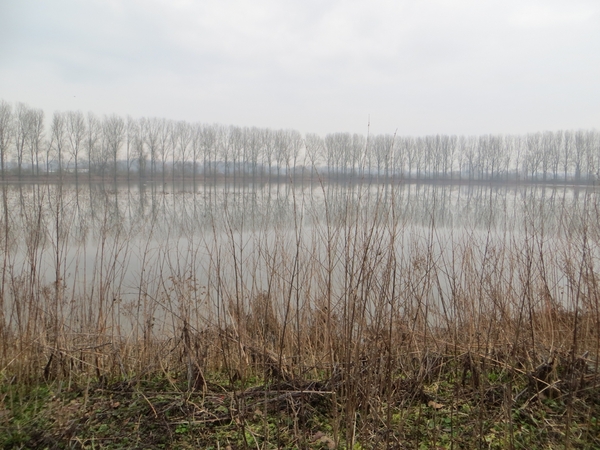 2013-02 16 Baasrode 004