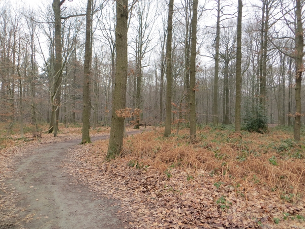 2013-02 16 Baasrode 025