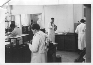 1960 - Lab.3