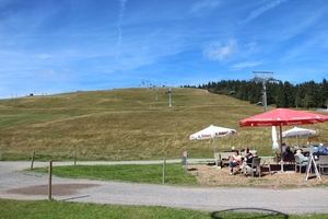 IMG_8541