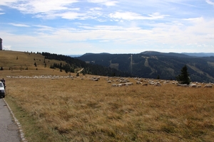 IMG_8555