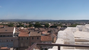 reis de provence 2012 (1)