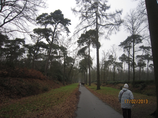 Putte Ravenhof met bosgeuzen 17-2-2013 003